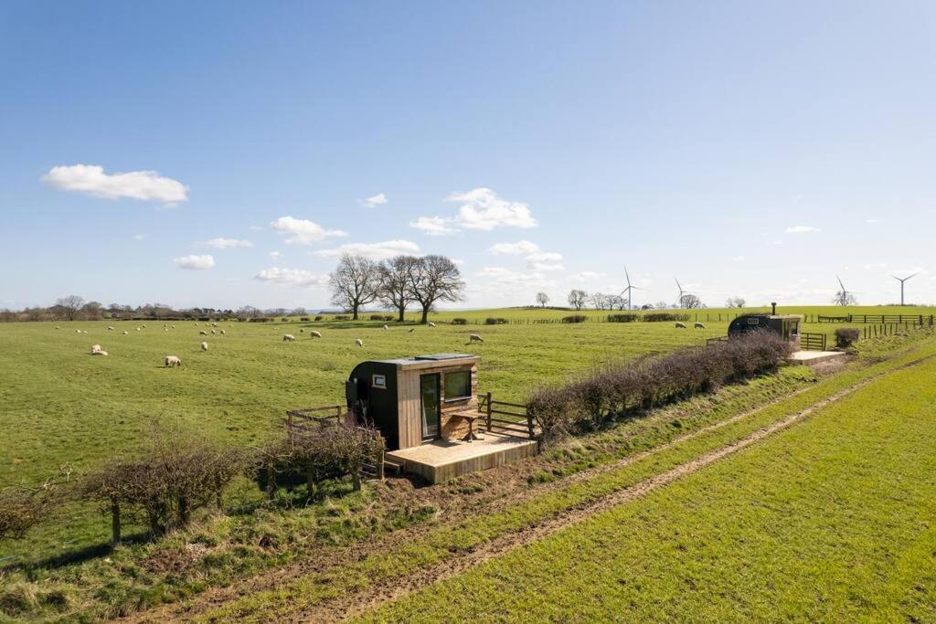Вилла 'Pipistrelle' Remote Off-Grid Micro Cabin Седжфилд Экстерьер фото